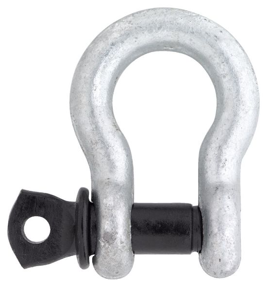 Afbeelding - https-www-ez-catalog-nl-Asset-c8b14490f9ca47c494901b6ad9e7c5fd-ImageFullSize-562-200bp-jpg